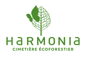 Bienvenue dans la Forêt des mémoires